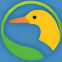 PIP 2