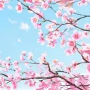 🌺 𝑅𝒫 𝐹𝑅 | 𝐿𝓎𝒸é𝑒 𝐻𝒶𝓃𝒶𝓀𝓊𝓇𝒶 🌺
