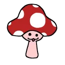 Find The Fungi