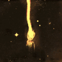 [中国人] Academy | Tags icon