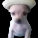 ¿?