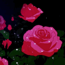 ꒰ა ☆⋆｡❀ႵႹიჁႶა❀｡⋆☆ ໒꒱ Discord server icon