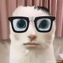 vxrst's discord server