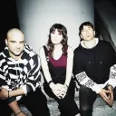 Sick Puppies