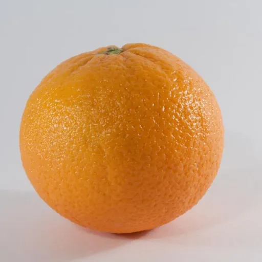 Orange — мониторинг Discord сервера, статистика и рейтинг
