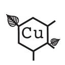 Cu Electroforming