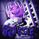 Purge QA