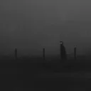 Shadow Market