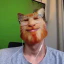 Meowy meowers