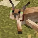 Floppacraft