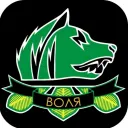 STALKER ONLINE группировка "Black Jack" — мониторинг Discord сервера, статистика и рейтинг