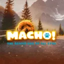 Macho CTO | The CTO Rescue Dog