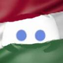Discord Hungarian Community Discord Server Icon