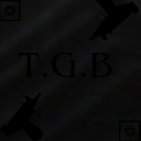 SW2  Server Icon