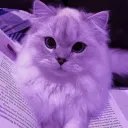 ' 𝐥𝐮𝐯𝐬𝐭𝐫𝐮𝐜𝐤 · 𝐑𝐨𝐛𝐥𝐨𝐱