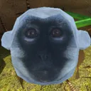 Mandrillin Discord
