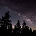 🌠 Iodine Woods ‿‿ Multi-f group