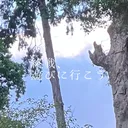 終戦､遊びに行こう
