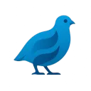QUAIL