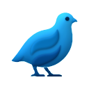 QUAIL Discord Server Icon