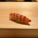 SUSHI食べたい