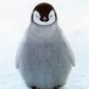 ペンギンShop