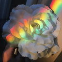 World of Colors