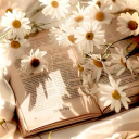 𖤣𖥧⋆˚˖°Zen Garden⋆.ೃ࿔*:･☘ Server Icon