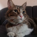 Discovery icon for LOC STUDIOS | OFICIAL Discord server