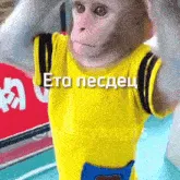 Союз Бибизянских Социалистических Республик — мониторинг Discord сервера, статистика и рейтинг