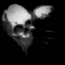 skullzie : haitus