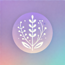 Lavender Lounge