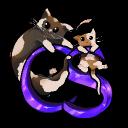 CATSMP.PL icon