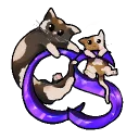CATSMP.PL