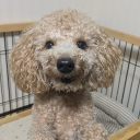 優しくなろうよ Discord server icon