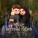 Discovery icon for Twilight: Eternal Dawn Discord server