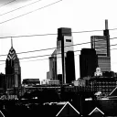 the concrete jungle