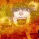 The Shinigami Realm