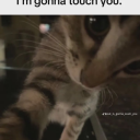 The Asylum Discord server icon