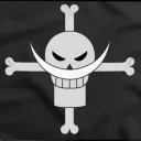 Crew Of Whitebeard
