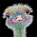 emu.dev
