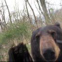 The Trout Factory Discord server icon