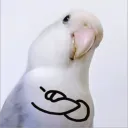 樓下商場六九折 discord icon