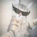 FlowState
