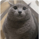 Server Icon