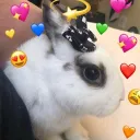 AltFashion+Emostyle Official Discord