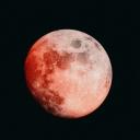 Blood Moon Sanctuary
