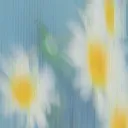 daisy*
