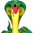 [⏳] SnakeZone | #2K