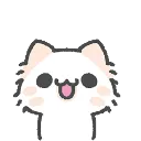 kuroki ᕡᕠ